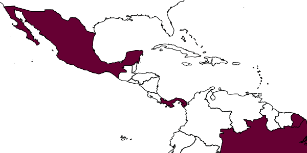 map of Anisepyris elenwei     Barbosa & Azevedo, 2018